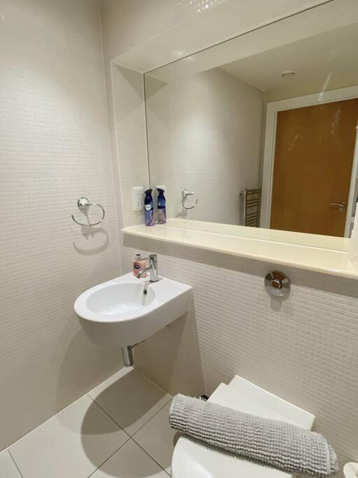1 Bed 1 Bath Modern Zone 2 Apartment